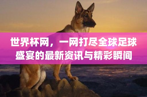 世界杯网，一网打尽全球足球盛宴的最新资讯与精彩吉安市靖泰电力工程有限公司瞬间