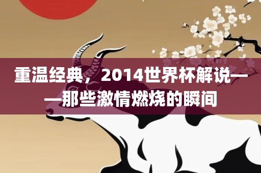 重温经典，2014世界杯解说——那些激情燃烧的瞬间