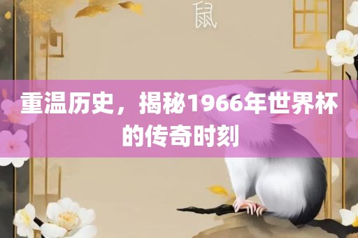 重温历史，揭秘1966年世界杯的传奇时刻吉安市靖泰电力工程有限公司