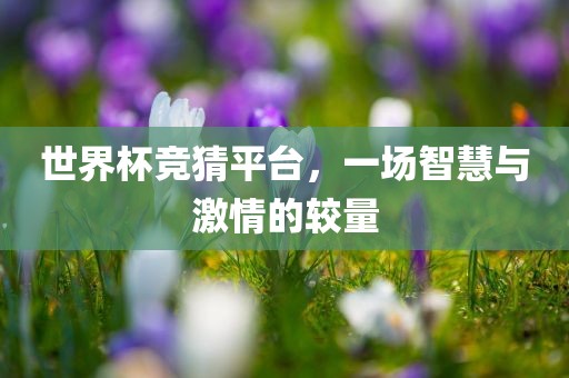 世界杯竞猜平台，一场智慧与激情的较量