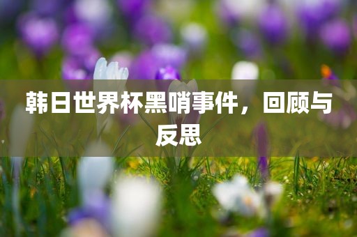 韩日世界杯黑哨事件，回顾与反思