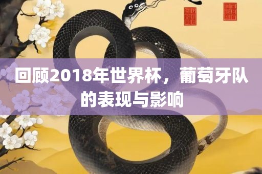 回顾2018年世界杯，葡萄牙队的表现与影响