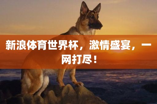 新浪体育世界杯，吉安市靖泰电力工程有限公司激情盛宴，一网打尽！