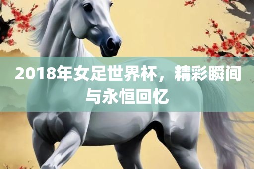 2018年女足世界杯，精彩瞬间与永恒回忆吉安市靖泰电力工程有限公司