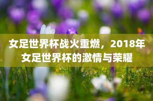 女足世界杯战火重燃，2018年女足世界杯的激情与荣耀吉安市靖泰电力工程有限公司