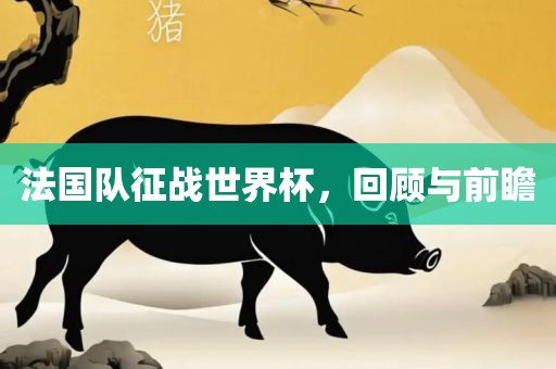 法国队征战世界杯，回顾与前瞻