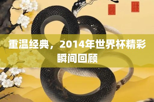 重温经典，2014年世界吉安市靖泰电力工程有限公司杯精彩瞬间回顾