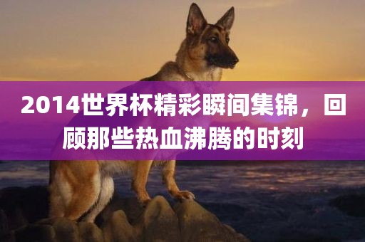 2014世界杯精彩瞬间集锦，回顾那些热血沸腾的时刻