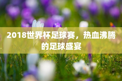 2018世界杯足球赛，热血沸腾的足球盛宴吉安市靖泰电力工程有限公司