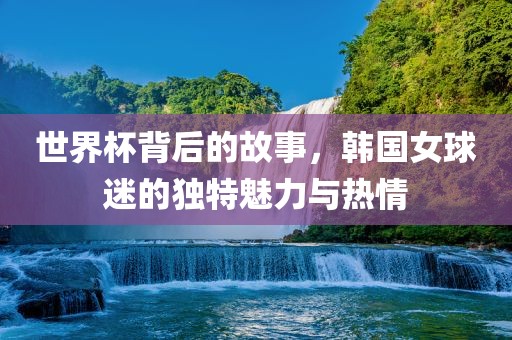 世界杯背后的故事，韩国女球迷的独特魅力与热情