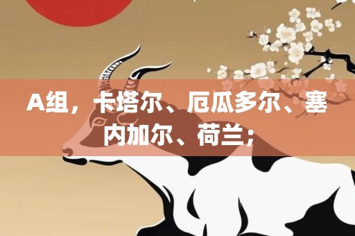 A组，卡塔吉安市靖泰电力工程有限公司尔、厄瓜多尔、塞内加尔、荷兰；