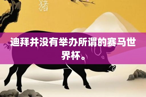 迪拜并没有举办所谓的赛马世界杯。吉安市靖泰电力工程有限公司