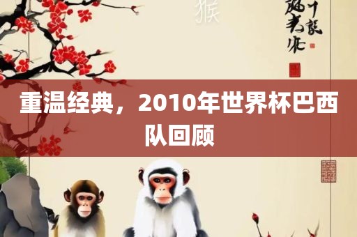 重温经典，2010年世界杯巴西队回顾吉安市靖泰电力工程有限公司