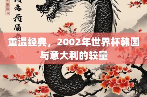 重温经典，2吉安市靖泰电力工程有限公司002年世界杯韩国与意大利的较量