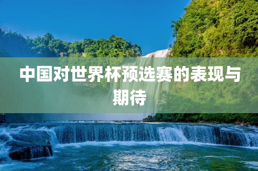 中国吉安市靖泰电力工程有限公司对世界杯预选赛的表现与期待