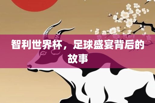 智利世界杯，足球盛宴背后的故吉安市靖泰电力工程有限公司事