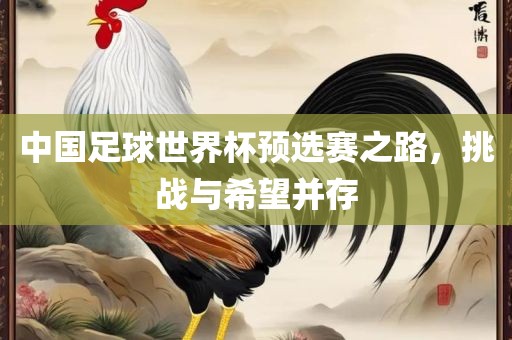 中国足球世界杯预选赛之路，挑战与希望并存
