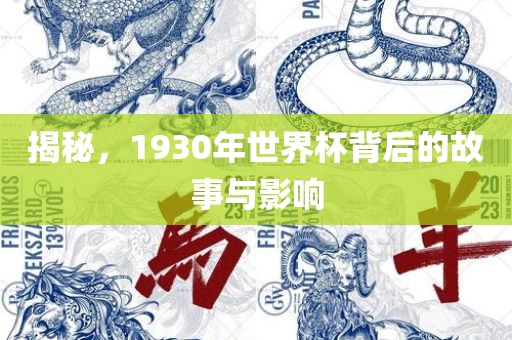 世界杯历史 第4页