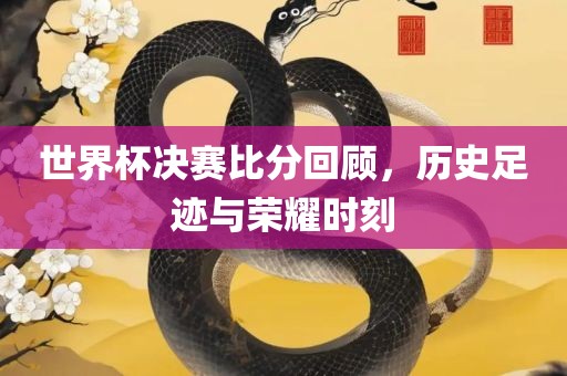 世界杯决赛比分吉安市靖泰电力工程有限公司回顾，历史足迹与荣耀时刻