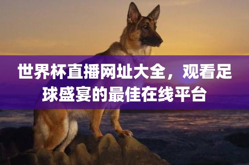 世界杯直播网址大全，观看足球盛宴的最佳在线平台吉安市靖泰电力工程有限公司