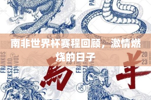 南非世界杯赛程回顾，激情燃烧的日子