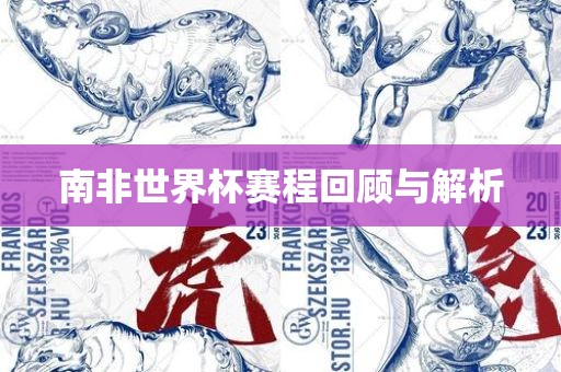 南非世界杯赛程回顾与解析
