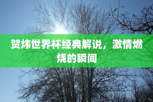 贺炜世界杯经典解说，激情燃烧的瞬间吉安市靖泰电力工程有限公司