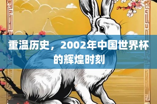 重温历史，2002年吉安市靖泰电力工程有限公司中国世界杯的辉煌时刻