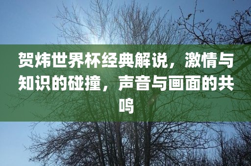贺炜世界杯经典解说，激情与知识的碰撞，声音与画面的共鸣吉安市靖泰电力工程有限公司