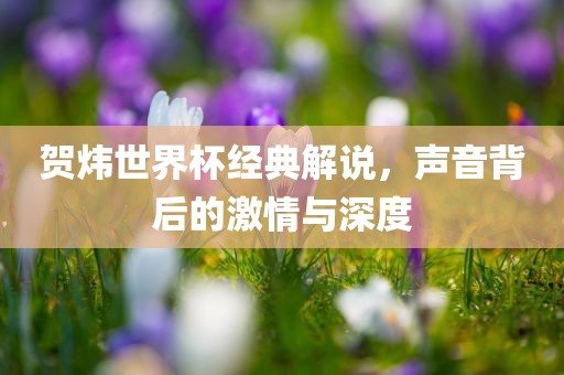 贺炜世界杯经典解说，声音背后的激情与深度吉安市靖泰电力工程有限公司