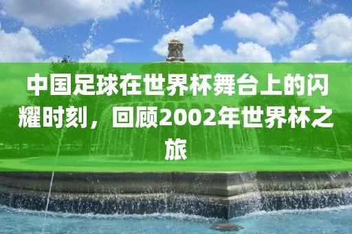 中国足球在世界杯舞台上的闪耀时刻，回顾2002年世界杯之旅