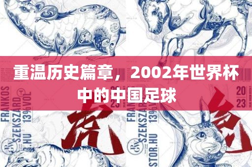 重温历史篇章，2002年世界杯中的中国足球吉安市靖泰电力工程有限公司