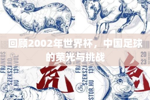 回顾2002年世界杯，中国足球的荣光与挑战