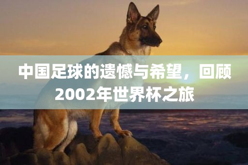 中国足球的遗憾与希望，回顾2002年世界杯之旅吉安市靖泰电力工程有限公司