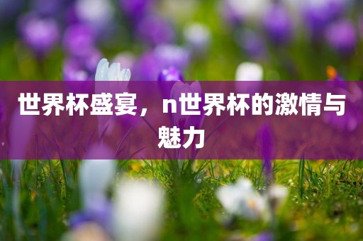 世界杯盛宴，n世界杯的激情与魅力吉安市靖泰电力工程有限公司