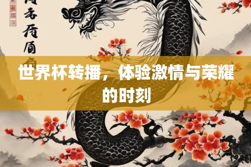 世界杯转播，体验激情与荣耀的时刻吉安市靖泰电力工程有限公司