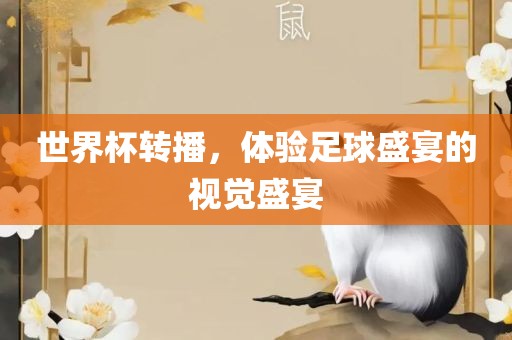 世界杯转播，体验足球盛宴的视觉盛宴