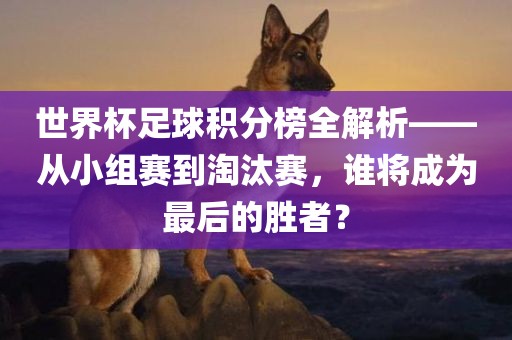 世界杯足球积分榜全解析——从小组赛到淘汰赛，谁将成为最后的胜者？