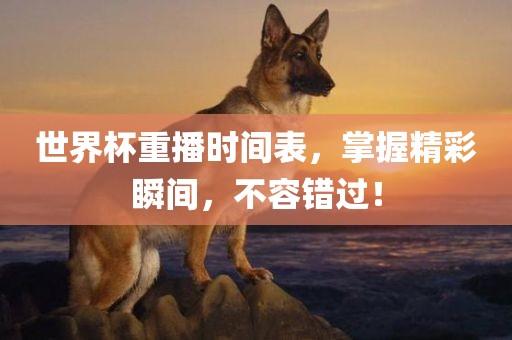 huangyanmin 第5页