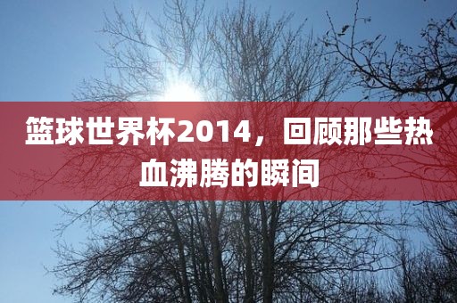 linzhenyu 第4页