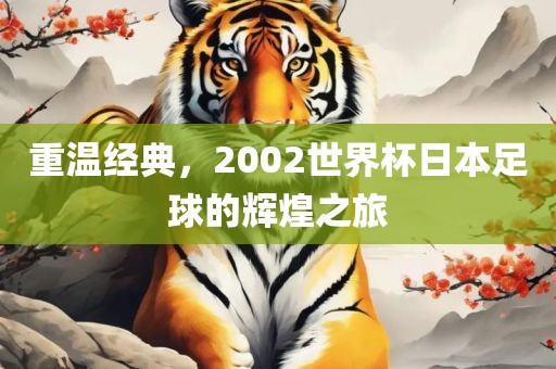 重温经典，2002世界杯日本足球的辉煌之旅吉安市靖泰电力工程有限公司