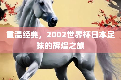 重温经典，2002世界杯日本足球的辉煌之旅吉安市靖泰电力工程有限公司