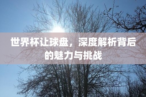 世界杯让球盘，深度解析背后的魅力与挑战