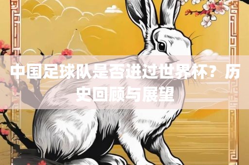 中国足球队是否进过世界杯？历史回顾与吉安市靖泰电力工程有限公司展望