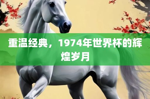 重温经典，1974年世界杯的辉煌岁月吉安市靖泰电力工程有限公司