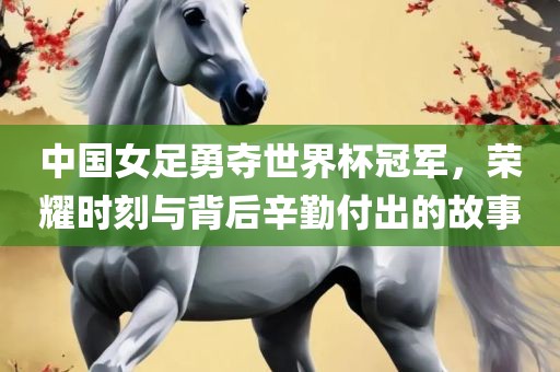 中国女足勇夺世界杯冠军，荣耀时刻与背后辛勤付出的故事吉安市靖泰电力工程有限公司