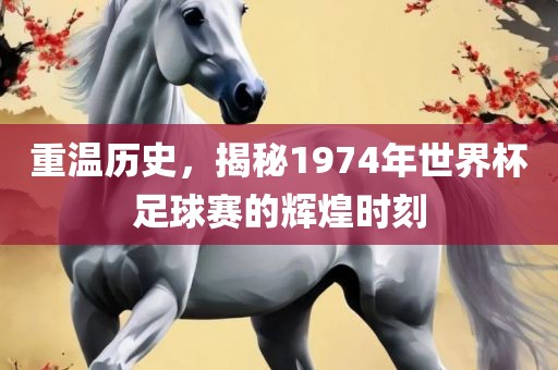 重温历史，揭秘1974年世界杯足球赛的辉煌时刻吉安市靖泰电力工程有限公司