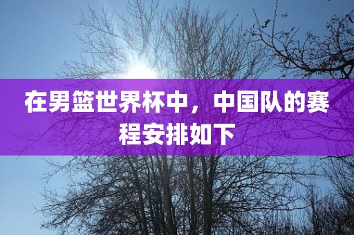 在男篮世界杯中，中国队的赛程安排如下