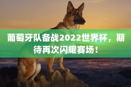 taohe 第4页
