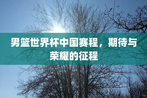 男篮世界杯中国赛程，期待与荣耀的征程吉安市靖泰电力工程有限公司